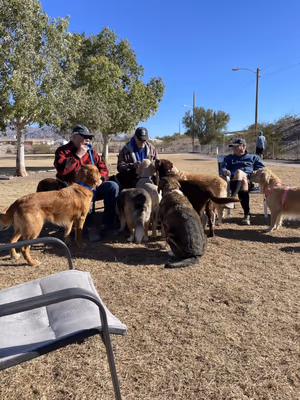 Dylan's Dog Park at SARA Park
